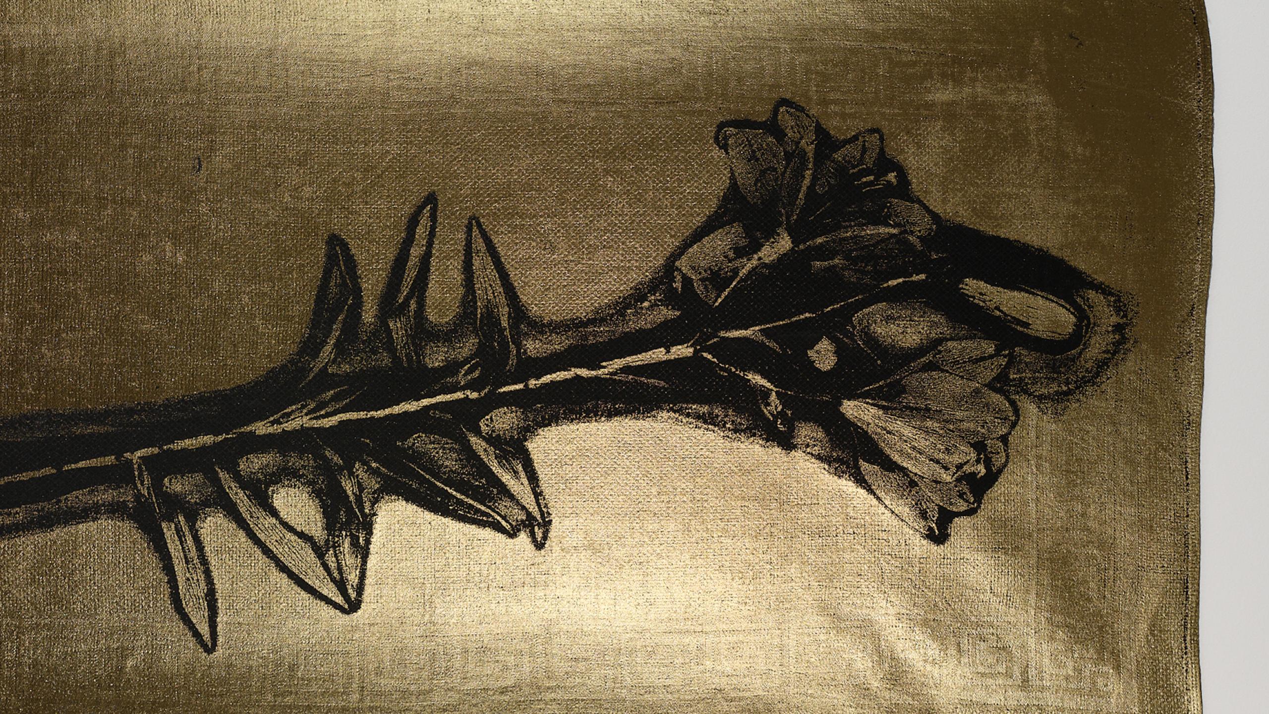 Anne Stevens & Egil Franssen - Architectes en eco-construction